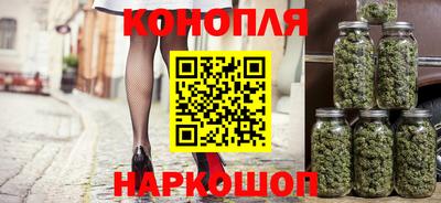 прущие крисы Ачхой-Мартан