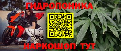 шишки Анапа