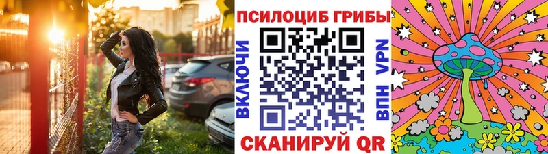 Псилоцибиновые грибы ЛСД  маркетплейс какой сайт  Североуральск 