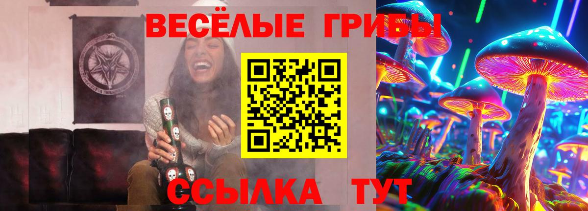 закладка  Галлюциногенные грибы Magic Shrooms  Вход с VPN  Североуральск 